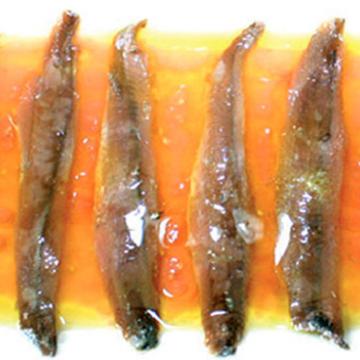 ANCHOIS CANTABRIQUE