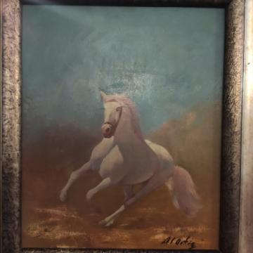 CABALLO EN LIBERTAD