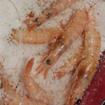GAMBAS A LA SAL