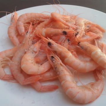 GAMBAS COCIDAS   