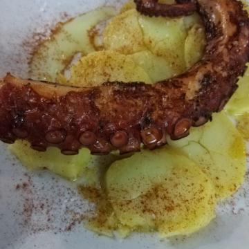 GEBRILDE OCTOPUS