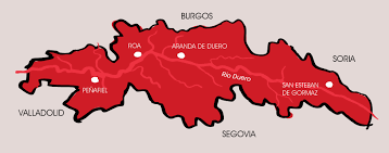 Vinos Tintos D.O. Ribera del Duero